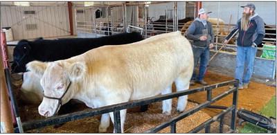 SPOTLIGHT ON FLOYD COUNTY STOCK SHOW