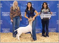 SPOTLIGHT ON FLOYD COUNTY STOCK SHOW