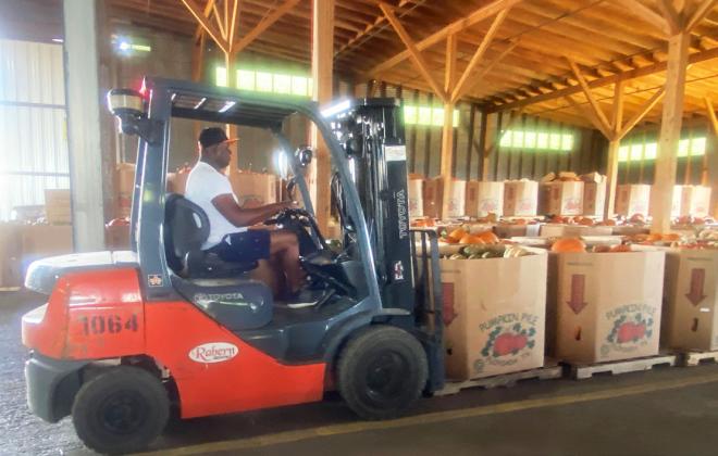 PUMPKINS PLANTED in May are ready for harvest by August. Family-run producers Pumpkin Pyle expects to ship 14 truckloads of fall goodness to the Dallas Arboretum (below, courtesy photo) for its annual fall festival. | HESPERIAN-BEACON