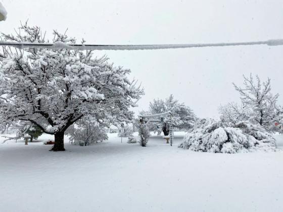 DEEP SNOW blankets Roaring Springs on Tuesday, Jan. 24, in this photo courtesy of Jeff Thacker, posted by the National Weather Service. | COURTESY PHOTO