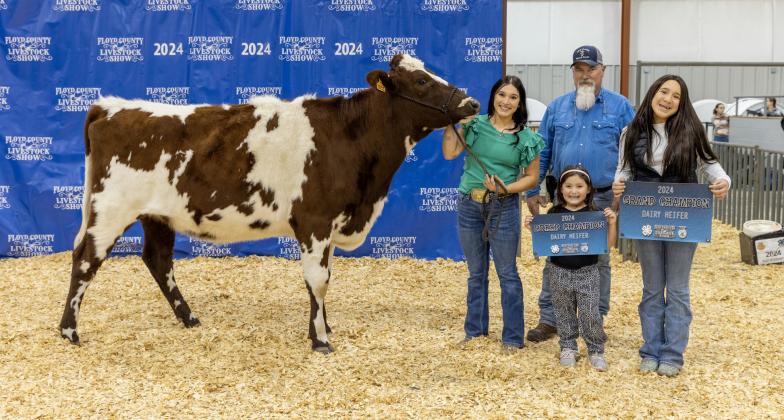GRAND CHAMPION DAIRY HEIFER CARISA FERNANDEZ