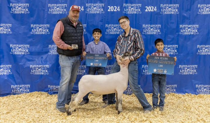 RESERVE GRAND CHAMPION LAMB COLBY GUERRERO