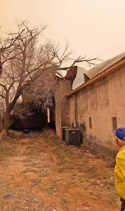 March in like a lion throughout West Texas