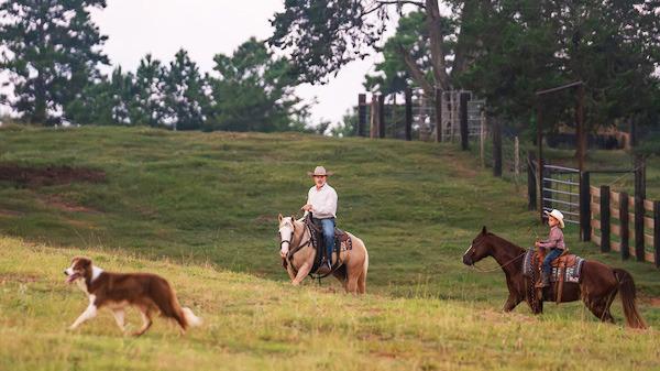 Registration is open for the Generation Next: Our Turn to Ranch, a 12-week online course offered by the Texas A&amp;amp;M AgriLife Extension Service on Jan. 26-April 19. The course provides instruction on starting a new agriculture business or enterprise as well as land management. | HANNAH HARRISON/ TEXAS A&amp;amp;M AGRILIFE
