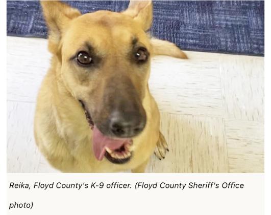 Floydada City Council discusses canine team at monthly meeting