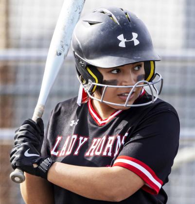 SPOTLIGHT ON LOCKNEY SOFTBALL