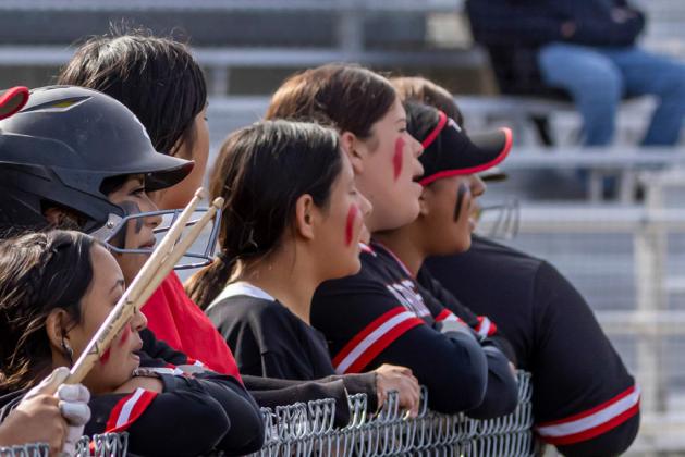 SPOTLIGHT ON LOCKNEY SOFTBALL