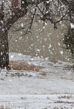 SPOTLIGHT ON SNOW DAY IN FLOYDADA