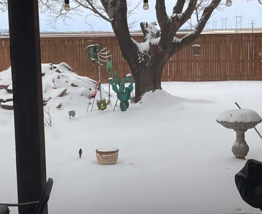 SPOTLIGHT ON SNOW DAY IN FLOYDADA