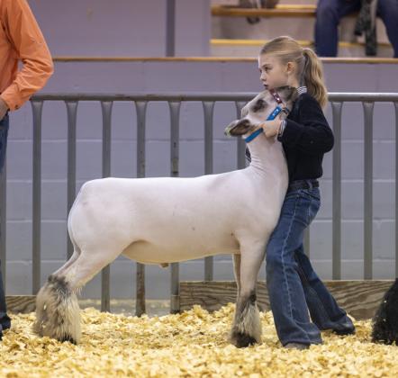 SPOTLIGHT ON FLOYD COUNTY LIVESTOCK SHOW 2026
