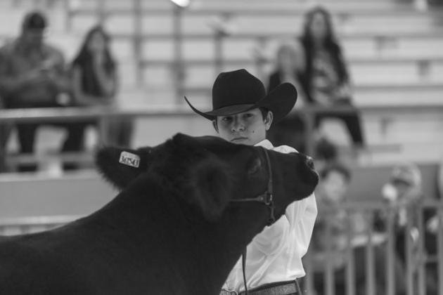 SPOTLIGHT ON FLOYD COUNTY LIVESTOCK SHOW 2026
