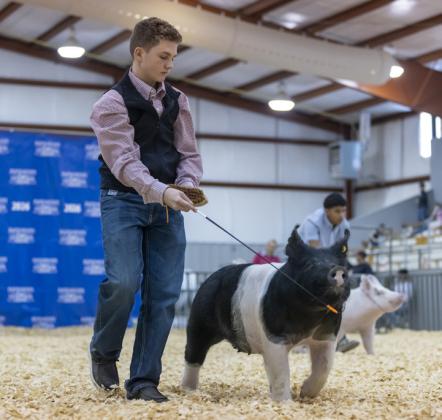 SPOTLIGHT ON FLOYD COUNTY LIVESTOCK SHOW 2026
