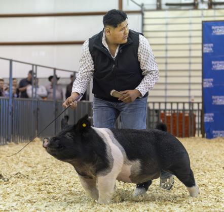 SPOTLIGHT ON FLOYD COUNTY LIVESTOCK SHOW 2026