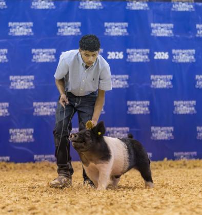 SPOTLIGHT ON FLOYD COUNTY LIVESTOCK SHOW 2026