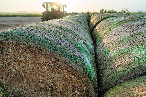 FORAGE OUTLOOKS Ranchers and forage producers had a much better hay season than the previous two years. Cool-season forage outlooks aren’t so clear, but Texas’ supply of hay bales is in good shape going into winter. | MICHAEL MILLER AND LAURA McKENZIE/TEXAS A&amp;amp;M AGRILIFE