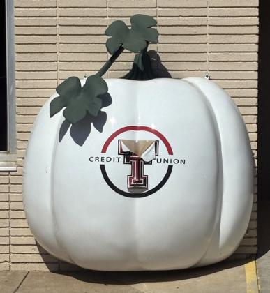 SPOTLIGHT ON FLOYDADA PUNKIN' DAYS