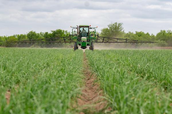 The Texas A&amp;M AgriLife Extension Service office in Overton is offering an online pesticide program on Nov. 21. (SAM CRAFT/ TEXAS A&amp;amp;M AGRILIFE)
