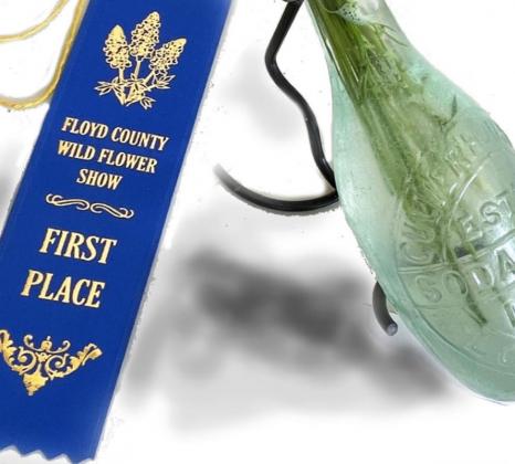 FROM BLUEBONNETS TO BLUE RIBBONS, the annual Floyd County Old Settlers Reunion is a colorful place to view and appreciate wildflower arrangements and to learn about the natural beauty of Floyd County. Carolyn Cunningham's gathering of blossoms in a vintage soda bottle took top honors at the 2022 show. BELOW: Wildflower judge Willa Finley (in hat and blue T-shirt) visits with museum director Dorothy Turner and volunteers during the 2022 event. MORE PHOTOS, PAGE 3 | HESPERIAN-BEACON