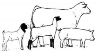 2022 Floyd County Stock Show set for Jan. 13 –15