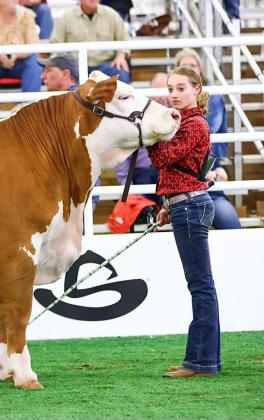 SPOTLIGHT ON FLOYD COUNTY FFA AT MAJOR LIVESTOCK SHOWS