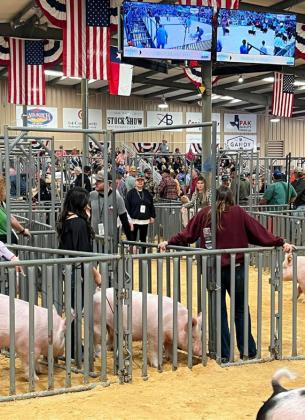 SPOTLIGHT ON FLOYD COUNTY FFA AT MAJOR LIVESTOCK SHOWS
