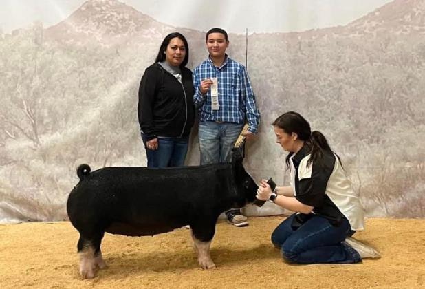 SPOTLIGHT ON FLOYD COUNTY FFA AT MAJOR LIVESTOCK SHOWS