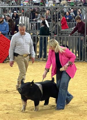 SPOTLIGHT ON FLOYD COUNTY FFA AT MAJOR LIVESTOCK SHOWS