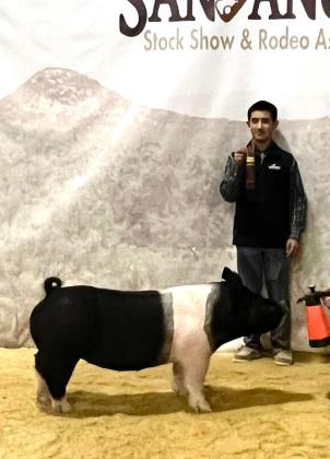 SPOTLIGHT ON FLOYD COUNTY FFA AT MAJOR LIVESTOCK SHOWS