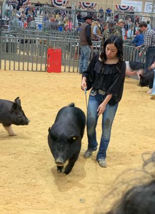 SPOTLIGHT ON FLOYD COUNTY FFA AT MAJOR LIVESTOCK SHOWS