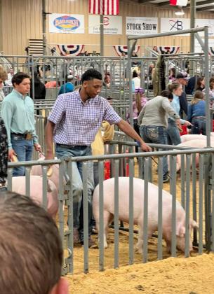 SPOTLIGHT ON FLOYD COUNTY FFA AT MAJOR LIVESTOCK SHOWS