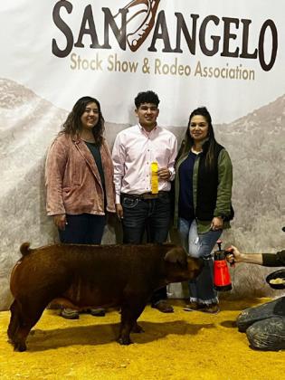 SPOTLIGHT ON FLOYD COUNTY FFA AT MAJOR LIVESTOCK SHOWS