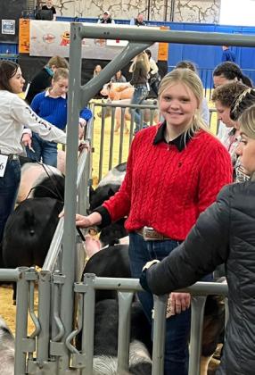 SPOTLIGHT ON FLOYD COUNTY FFA AT MAJOR LIVESTOCK SHOWS