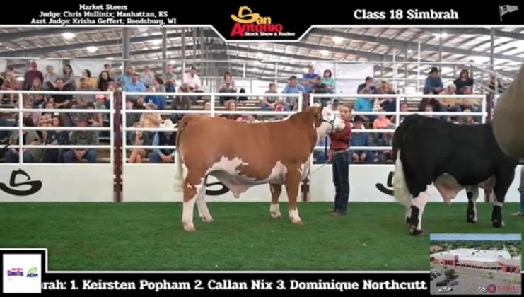 SPOTLIGHT ON FLOYD COUNTY FFA AT MAJOR LIVESTOCK SHOWS