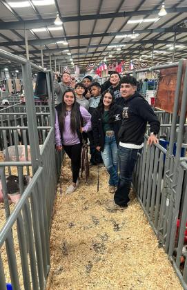 SPOTLIGHT ON FLOYD COUNTY FFA AT MAJOR LIVESTOCK SHOWS