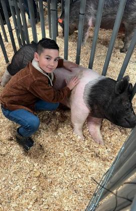 SPOTLIGHT ON FLOYD COUNTY FFA AT MAJOR LIVESTOCK SHOWS