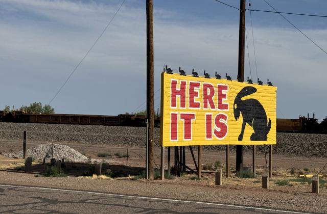 Rabbits, remembrances, retail—and resilience
