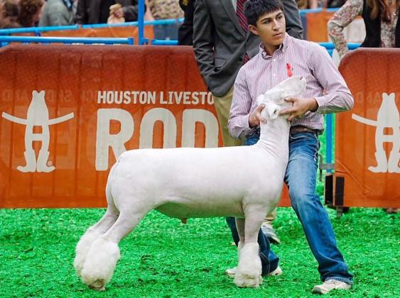 HARD WORK IN THE BARN PAYS OFF