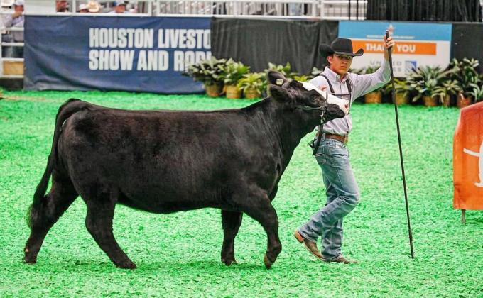 HARD WORK IN THE BARN PAYS OFF