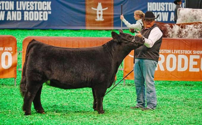 HARD WORK IN THE BARN PAYS OFF