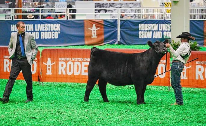 HARD WORK IN THE BARN PAYS OFF