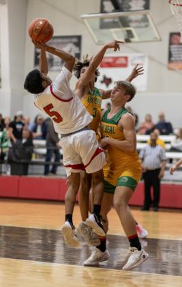 Longhorns and Lady Horns finish basketball season, head to the dirt diamonds