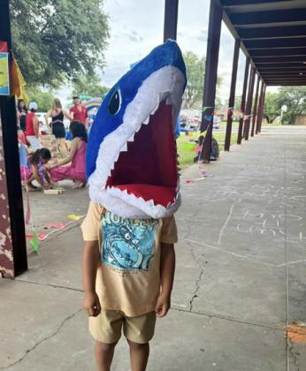 SHARK IN THE PARK