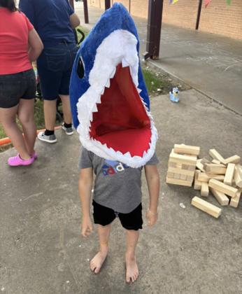 SHARK IN THE PARK