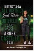 ABREE CASTILLO 2nd Team Outfield Academic All District