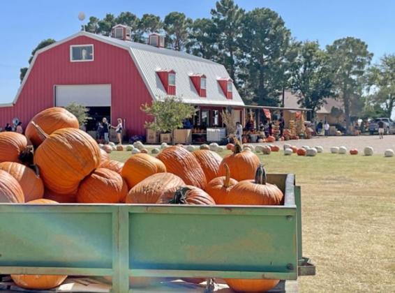Punkin’ Days ’21