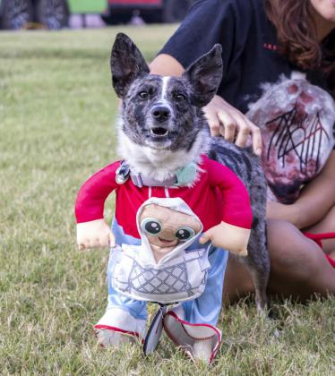 SPOTLIGHT ON FLOYDADA PUNKIN DAY