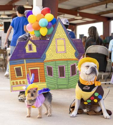 SPOTLIGHT ON FLOYDADA PUNKIN DAY