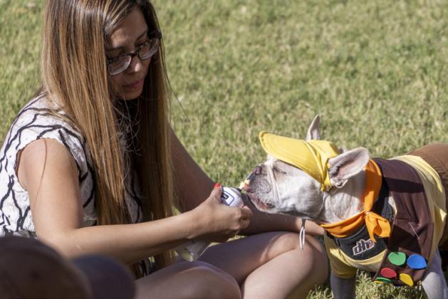 SPOTLIGHT ON FLOYDADA PUNKIN DAY