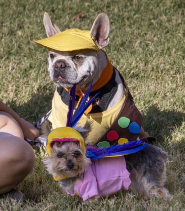 SPOTLIGHT ON FLOYDADA PUNKIN DAY