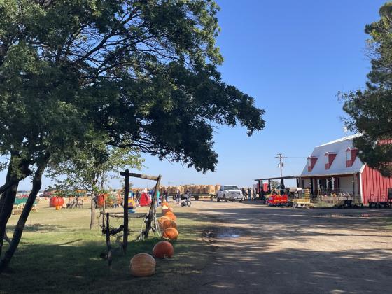 ASSITER PUNKIN’ RANCH